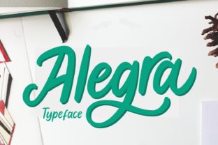Alegra: A Designer’s Honest Take on Script Amp’s Latest Release