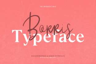 Borris: A Designer’s Honest Review for Real Projects