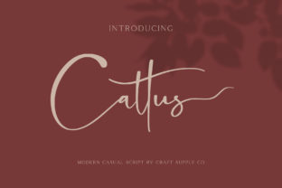 Cattus Font: Modern Script for Clear Campaigns