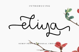 Eliya Font Review: A Handwritten Typeface for Web Design