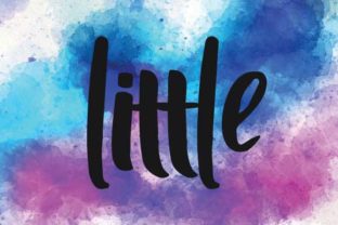 Little: A Casual Script Font for Authentic Branding