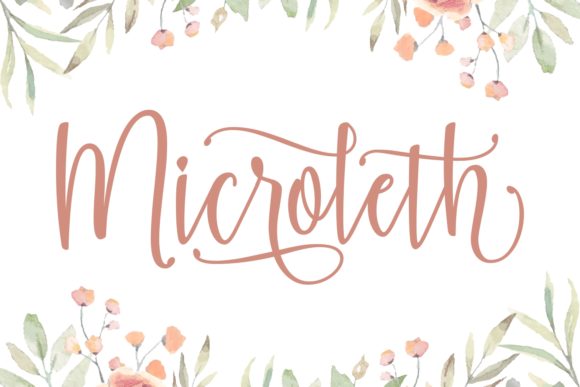 Microleth Font: A Web Designer’s Review