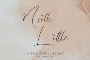 North Little: The Script Font for Scroll-Stopping Content