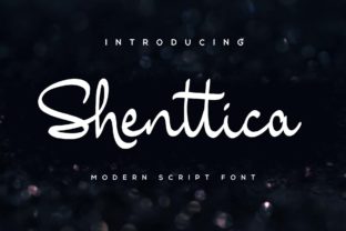 Shenttica: A Designer’s Honest Review